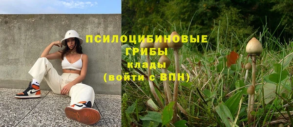 винт Медногорск