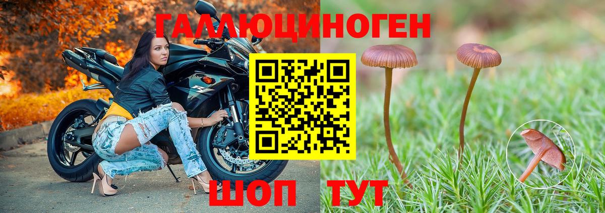 Галлюциногенные грибы мухоморы  даркнет сайт  Батайск  Вход с VPN  Галлюциногенные грибы ЛСД 