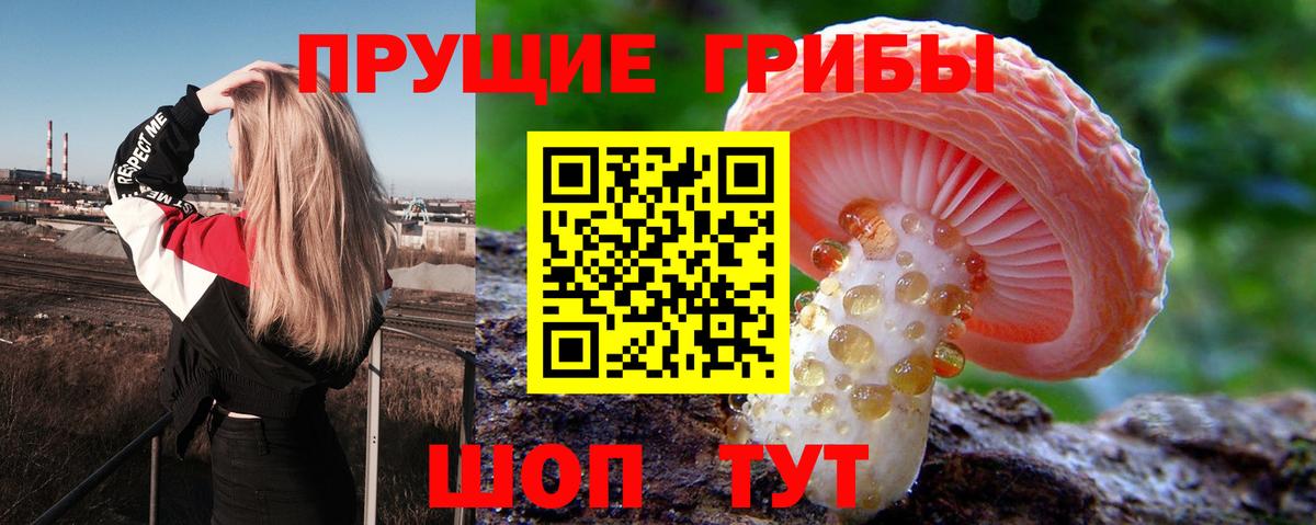 Галлюциногенные грибы MAGIC MUSHROOMS Батайск
